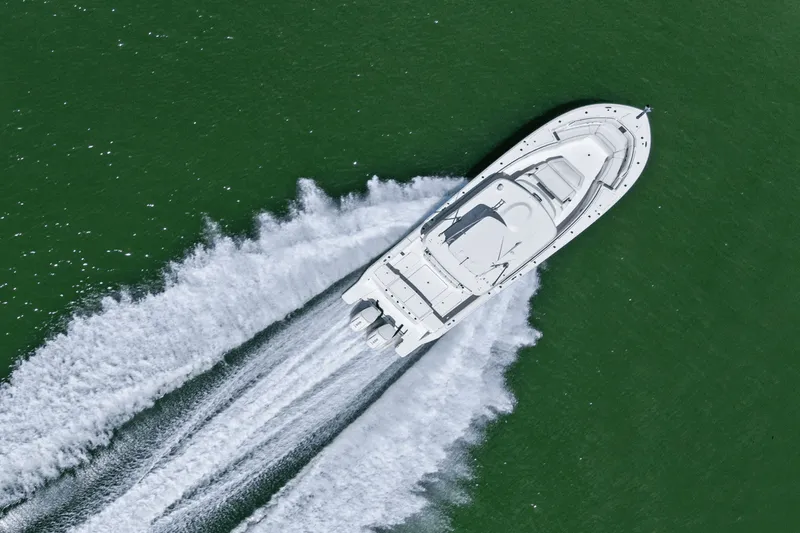 Slide: The Image of Bertram 39CC 2024 - 11