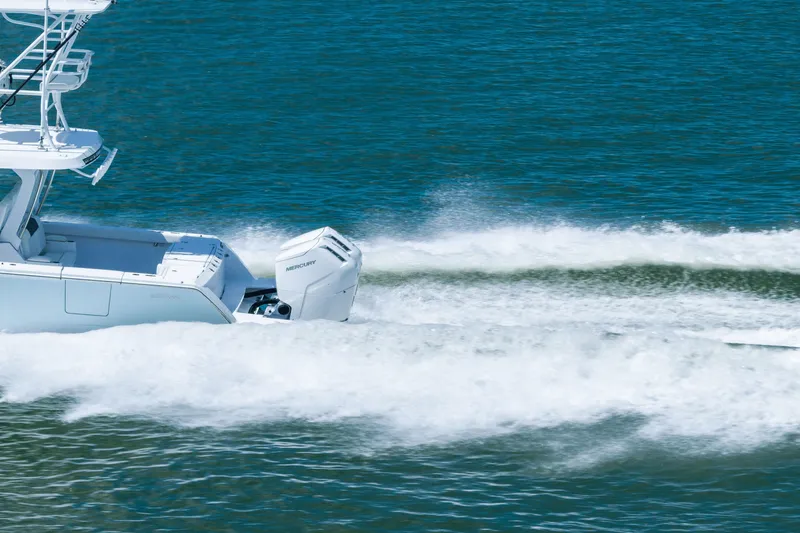 Slide: The Image of Bertram 39CC 2024 - 13