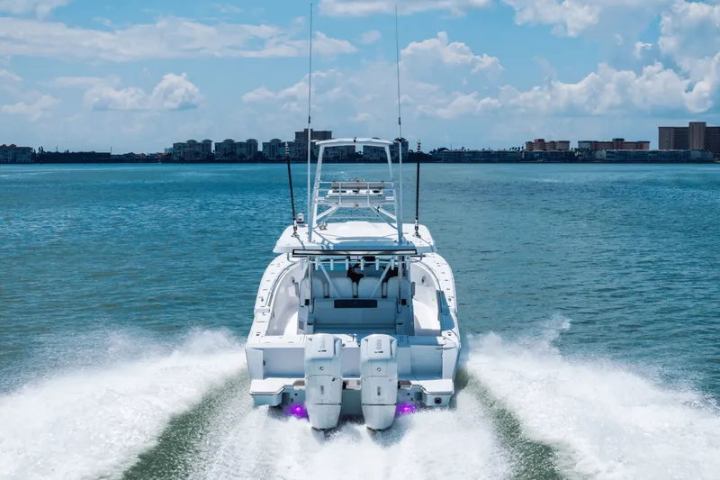 Slide: The Image of Bertram 39CC 2024 - 15