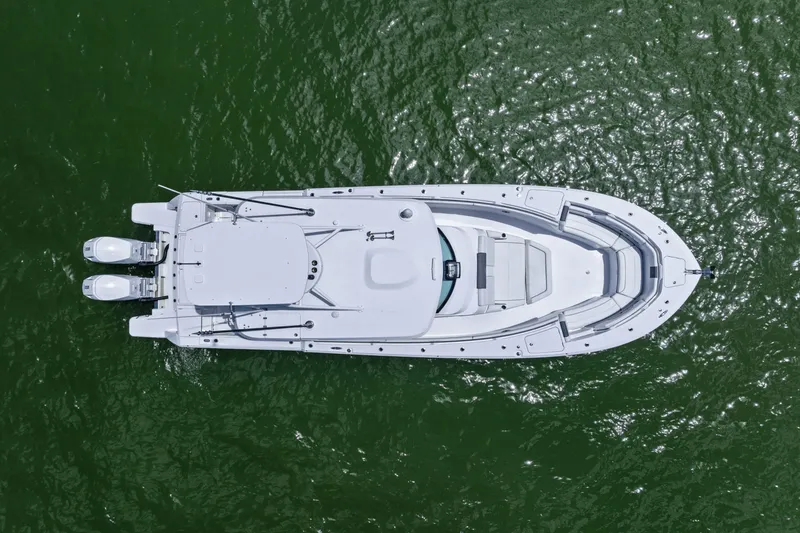 Slide: The Image of Bertram 39CC 2024 - 21