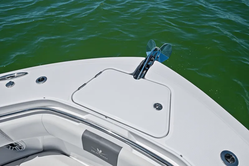 Slide: The Image of Bertram 39CC 2024 - 31