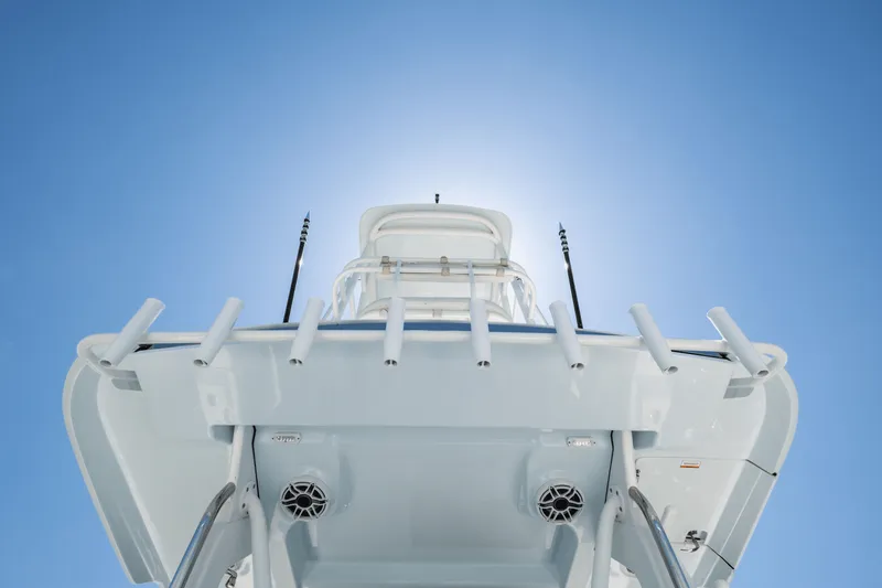 Slide: The Image of Bertram 39CC 2024 - 38