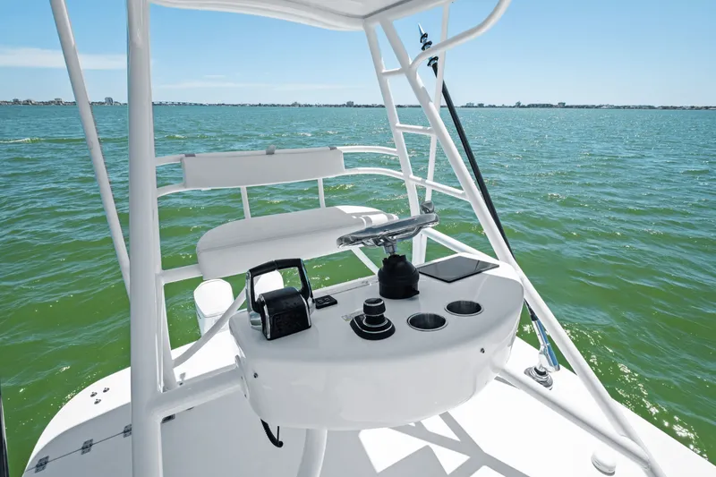 Slide: The Image of Bertram 39CC 2024 - 49