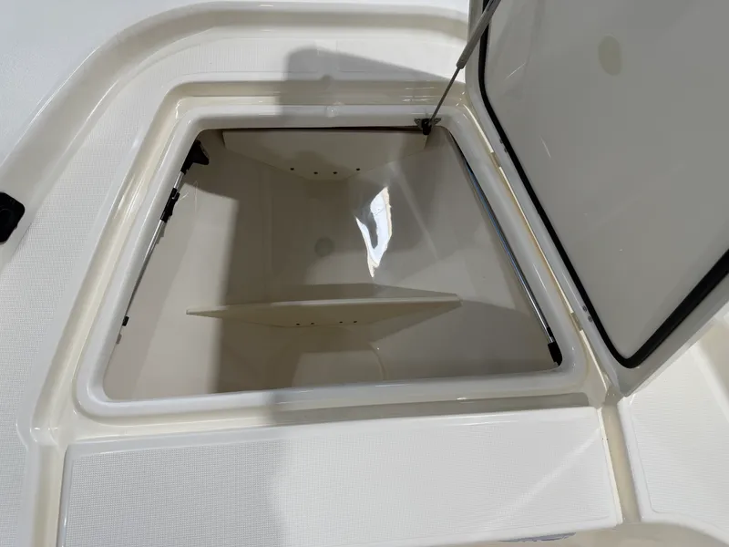 Slide: The Image of Scout 177 Sport 2025 - 10