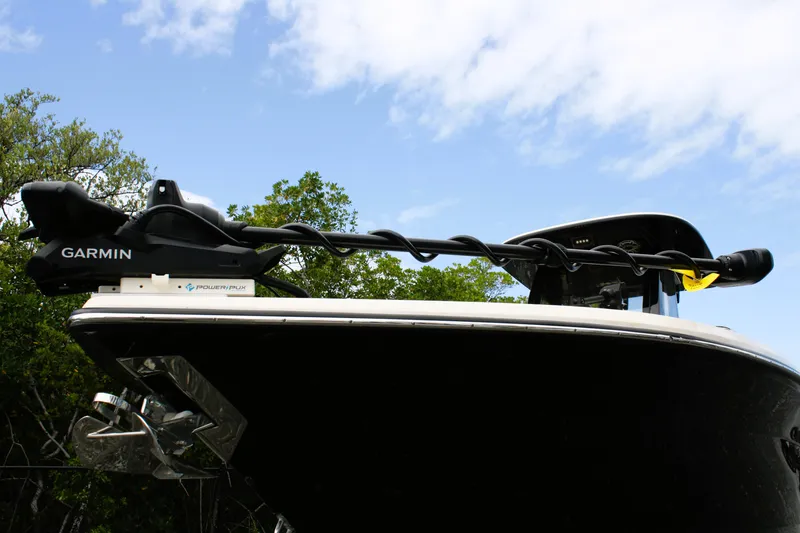 Slide: The Image of Scout 281 XSS 2025 - 7