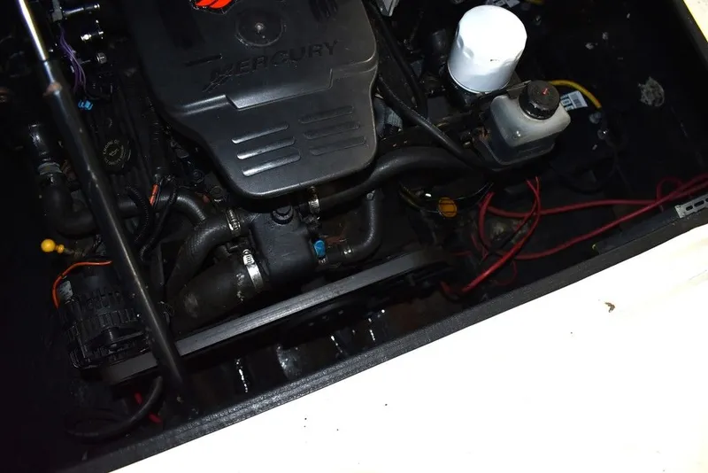 Slide: The Image of Stingray 240CS 2002 - 66