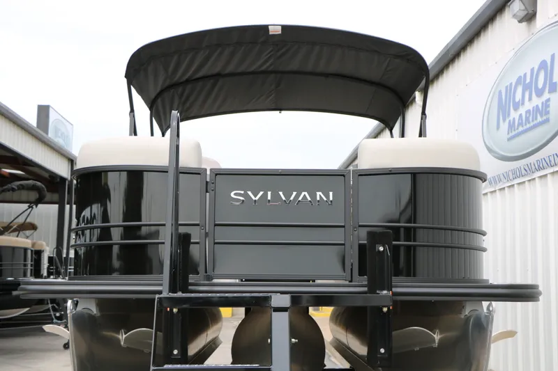 Slide: The Image of Sylvan Mirage X1 2025 - 5