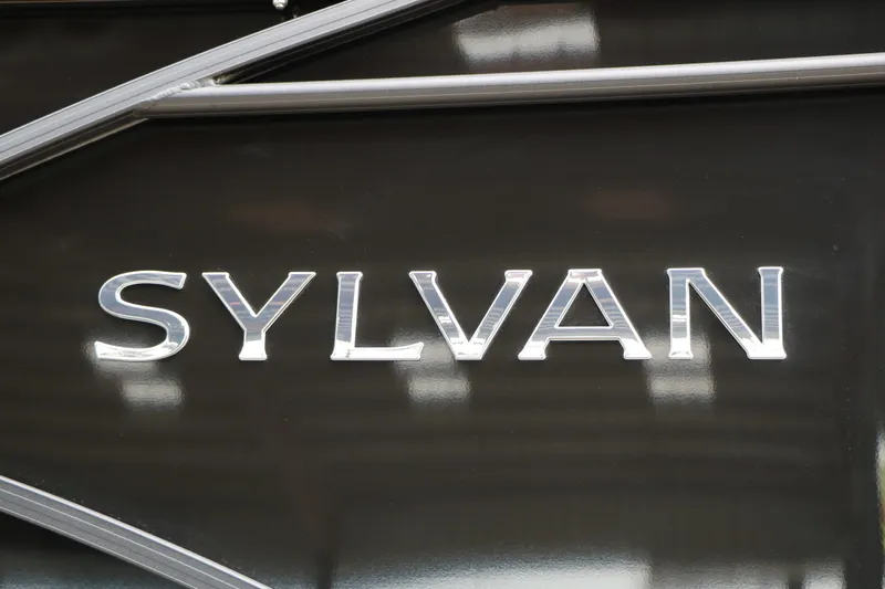 Slide: The Image of Sylvan Mirage X1 2025 - 6