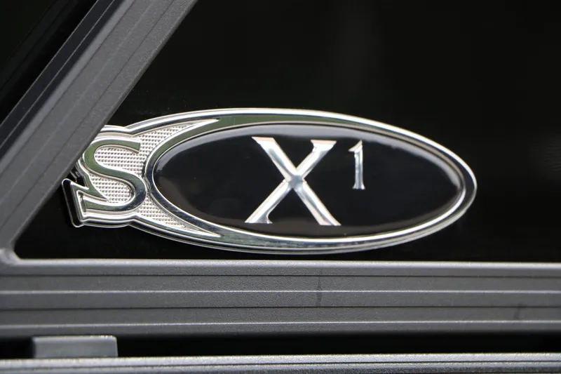 Slide: The Image of Sylvan Mirage X1 2025 - 8