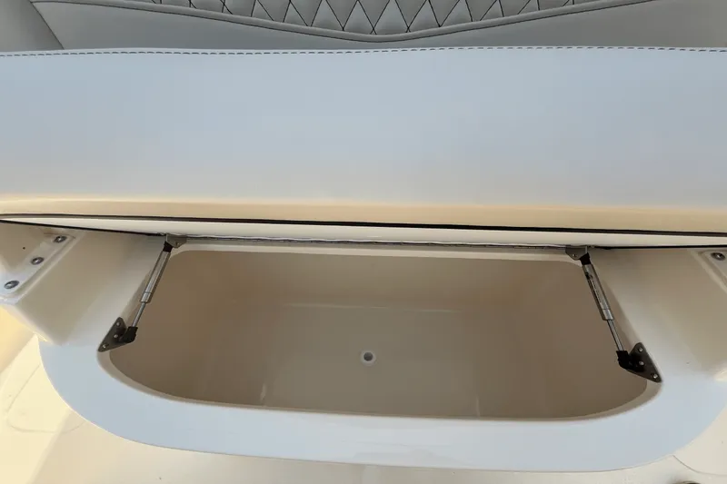 Slide: The Image of Scout 277 LXF 2025 - 20