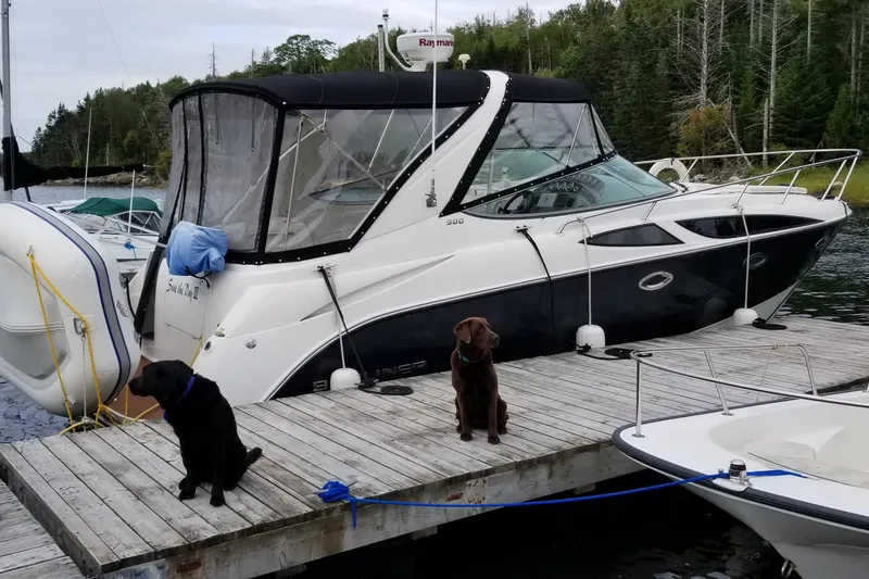 Slide: The Image of Bayliner 300 2009 - 7