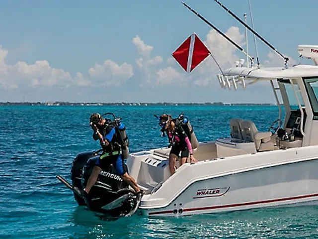 Slide: The Image of Boston Whaler 280 Outrage 2026 - 2