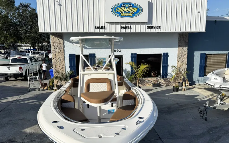 Slide: The Image of Pioneer 222 Islander 2025 - 3