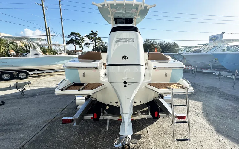 Slide: The Image of Pioneer 222 Islander 2025 - 25