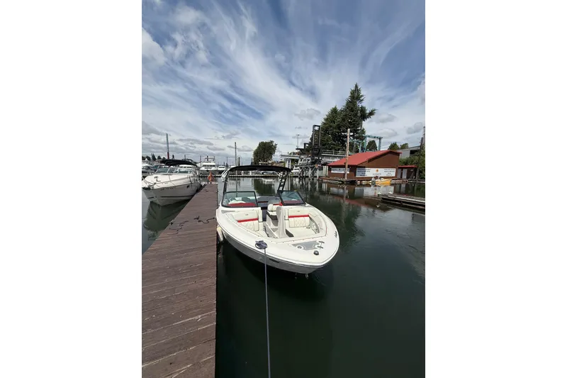 The Image of Regal LS2 Surf 2020 - 0