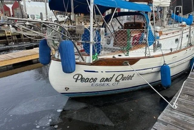 The Image of Tayana 37 1986 - 0