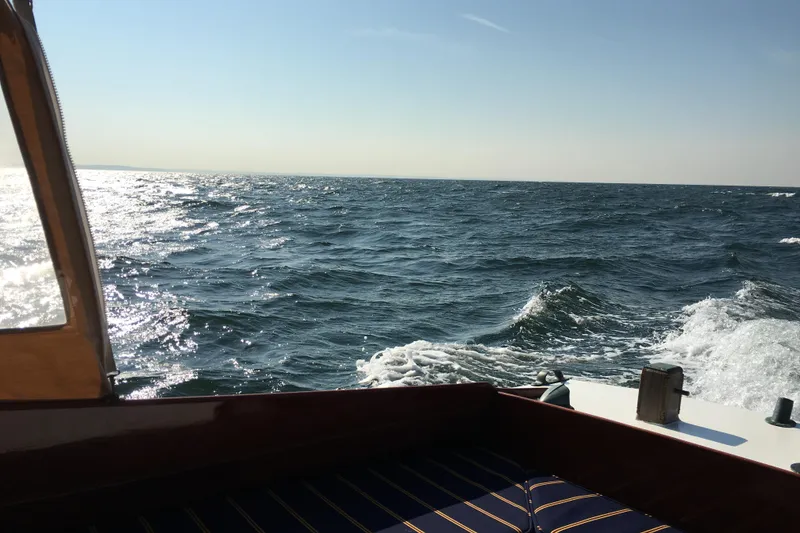 Slide: The Image of Atkin Sun Flower 22 1958 - 4