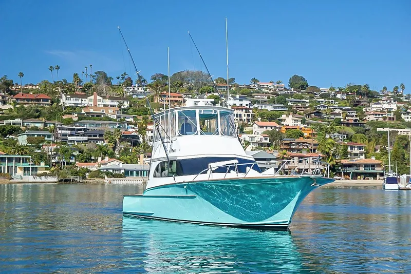 Slide: The Image of Custom Carolina 54 Convertible 1995 - 1