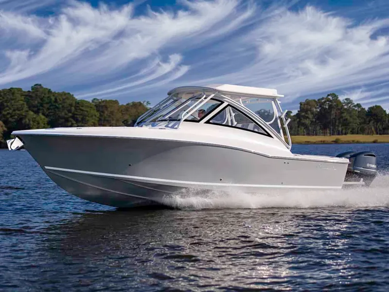 The Image of Albemarle 31 Dual Console 2025 - 0