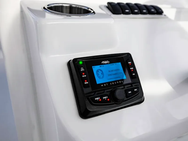 Slide: The Image of Albemarle 31 Dual Console 2025 - 12