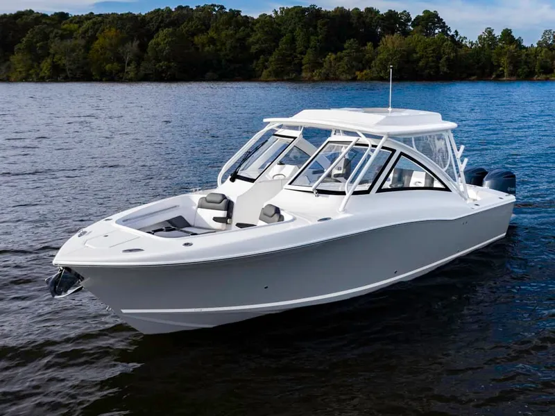 Slide: The Image of Albemarle 31 Dual Console 2025 - 3