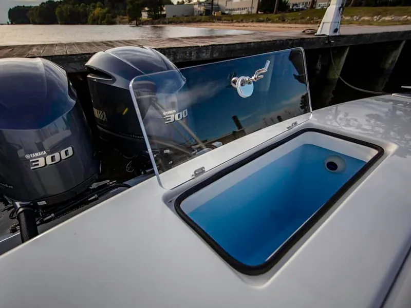 Slide: The Image of Albemarle 31 Dual Console 2025 - 9