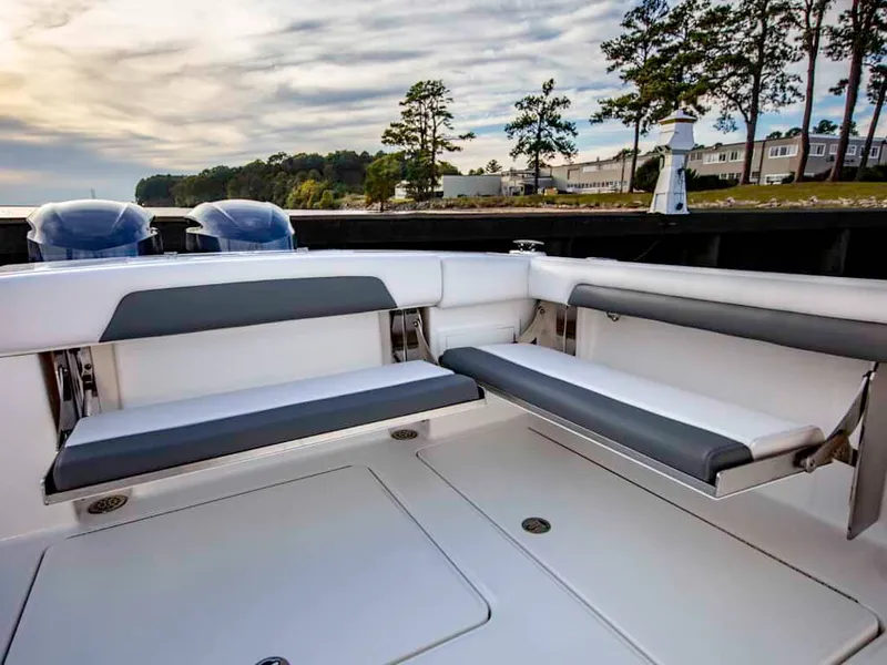 Slide: The Image of Albemarle 31 Dual Console 2026 - 10