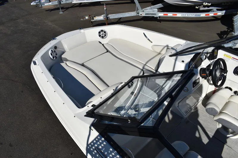 Slide: The Image of Stingray 191DC 2024 - 17