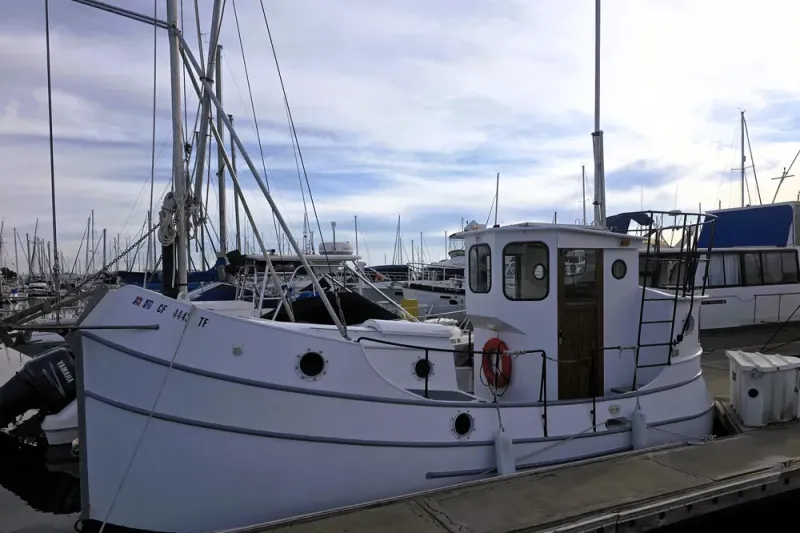 The Image of Custom 25 Tug 2016 - 0