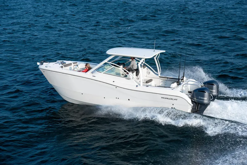 The Image of World Cat 296 DC Dual Console 2026 - 2