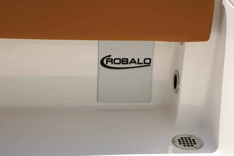 Slide: The Image of Robalo R266 Cayman 2026 - 47