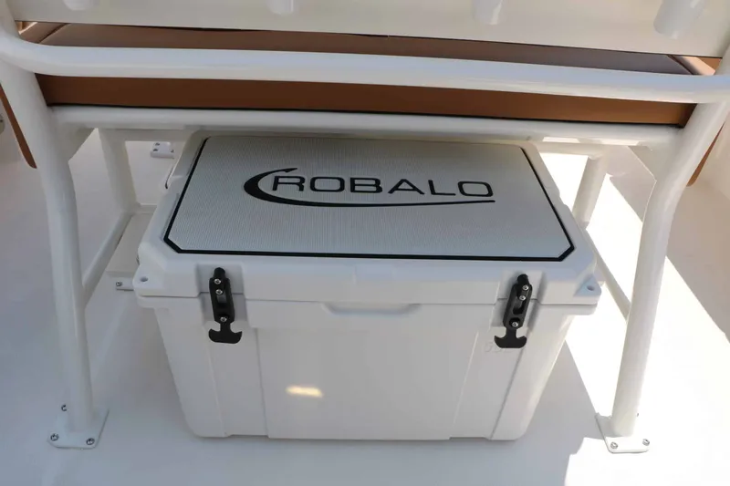 Slide: The Image of Robalo R266 Cayman 2026 - 54