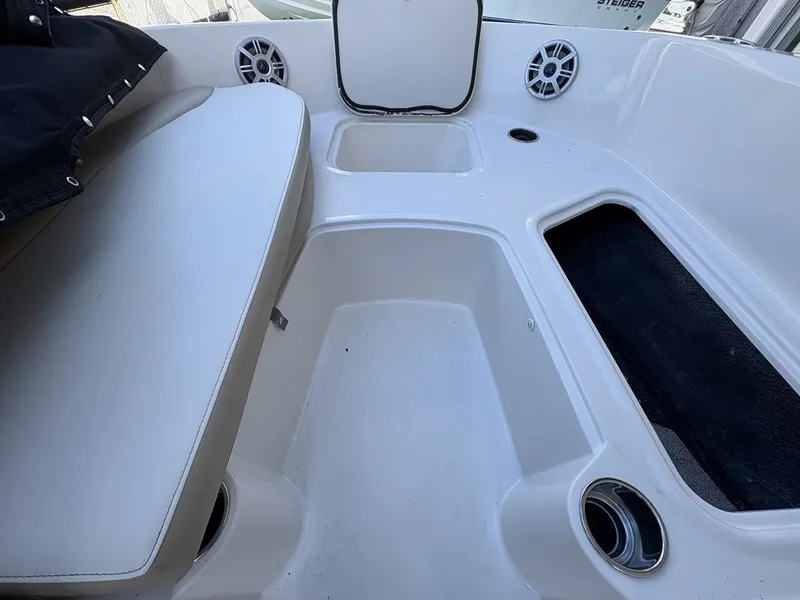 Slide: The Image of Stingray 191DC (OB) 2018 - 8