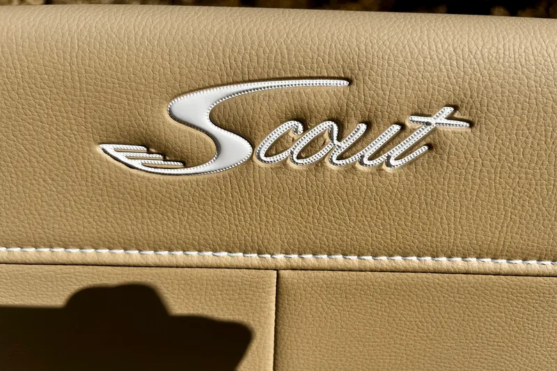 Slide: The Image of Scout 215 XSF 2024 - 16