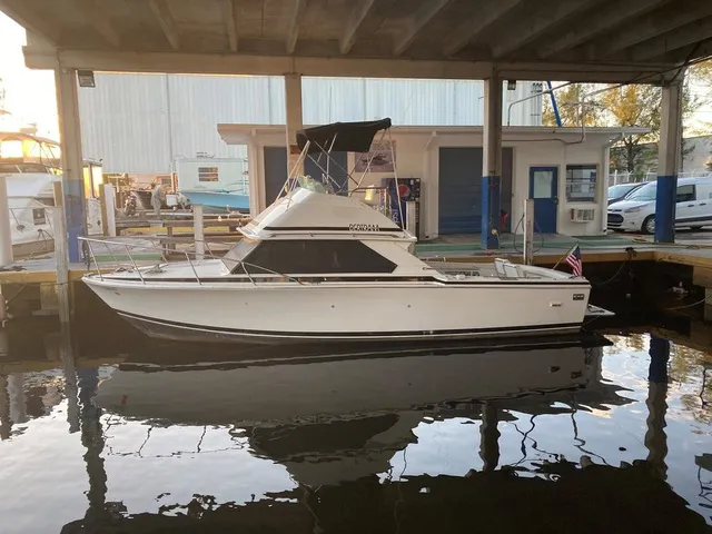 The Image of BERTRAM 28 SPORT FISH FLYBRIDGE 1987 - 0