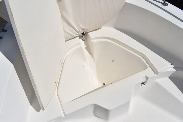 Slide: The Image of Boston Whaler 18 Dauntless 1999 - 42
