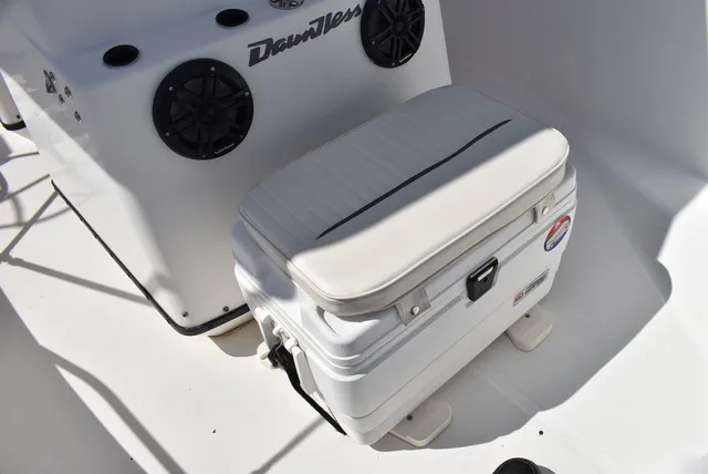 Slide: The Image of Boston Whaler 18 Dauntless 1999 - 44