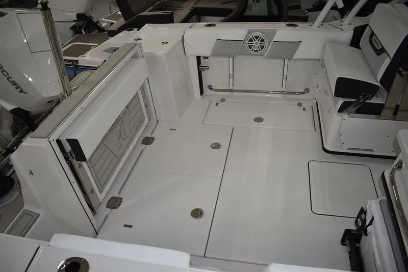 Slide: The Image of Blackfin 252DC 2025 - 16