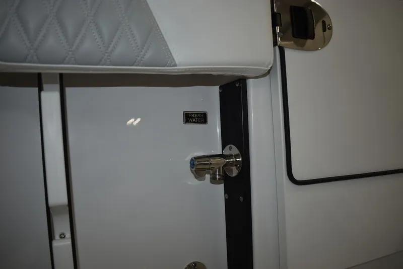 Slide: The Image of Blackfin 252DC 2025 - 29