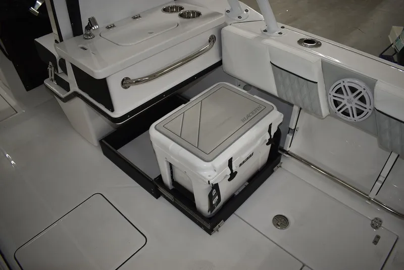 Slide: The Image of Blackfin 252DC 2025 - 33