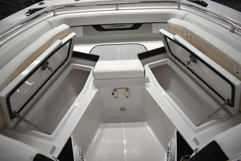 Slide: The Image of Blackfin 252DC 2025 - 66