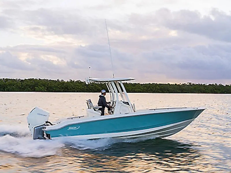 The Image of Boston Whaler 250 Dauntless 2026 - 0