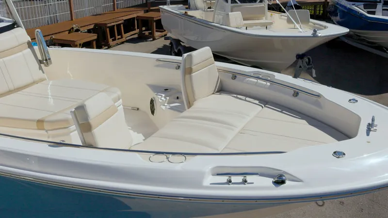 Slide: The Image of Boston Whaler 250 Dauntless 2026 - 21