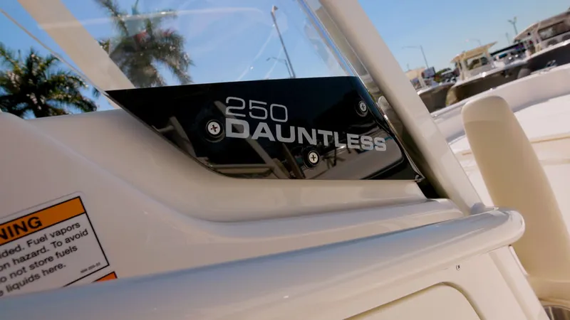 Slide: The Image of Boston Whaler 250 Dauntless 2026 - 7
