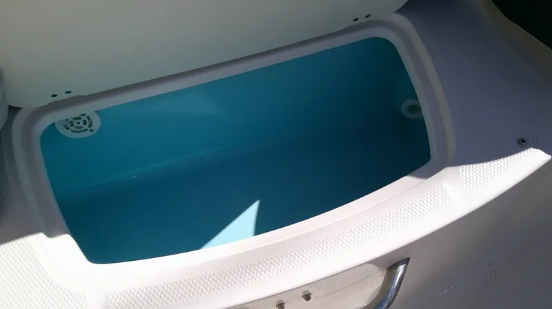 Slide: The Image of Chaparral 21 SSi Ski &amp; Fish 2025 - 10