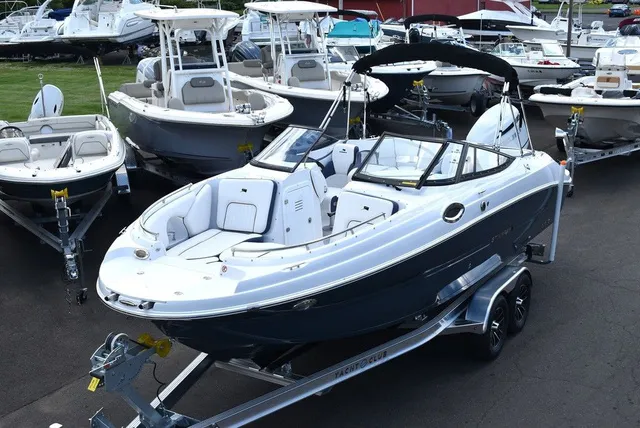 The Image of Stingray 231DC 2026 - 0