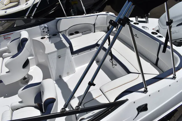 Slide: The Image of Stingray 231DC 2026 - 13