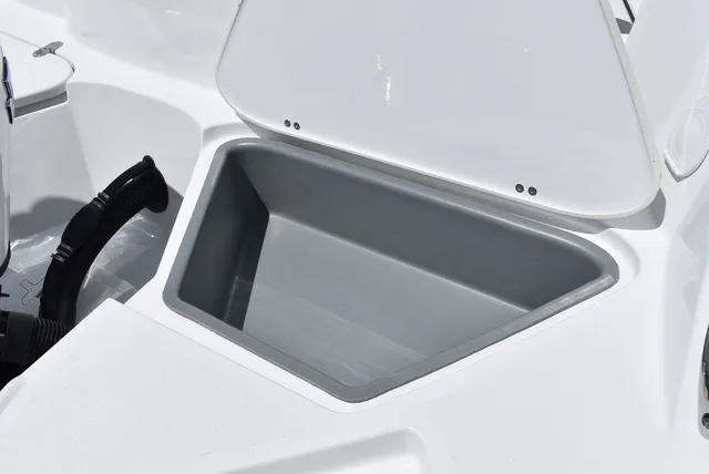 Slide: The Image of Stingray 231DC 2026 - 18