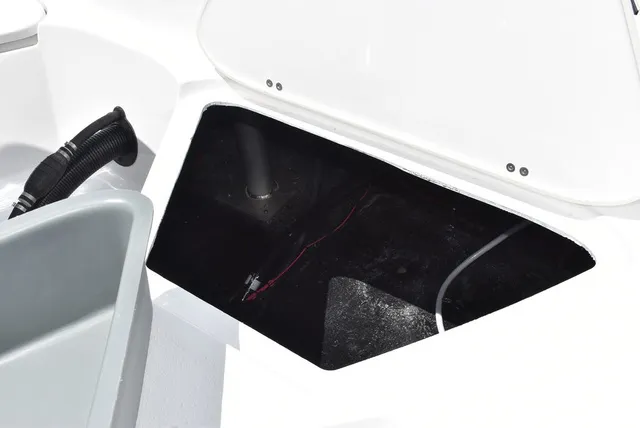 Slide: The Image of Stingray 231DC 2026 - 19