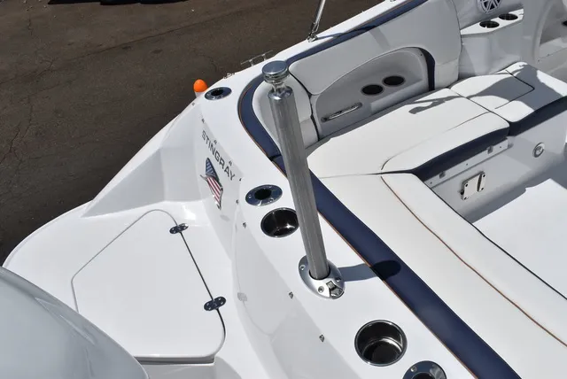 Slide: The Image of Stingray 231DC 2026 - 21